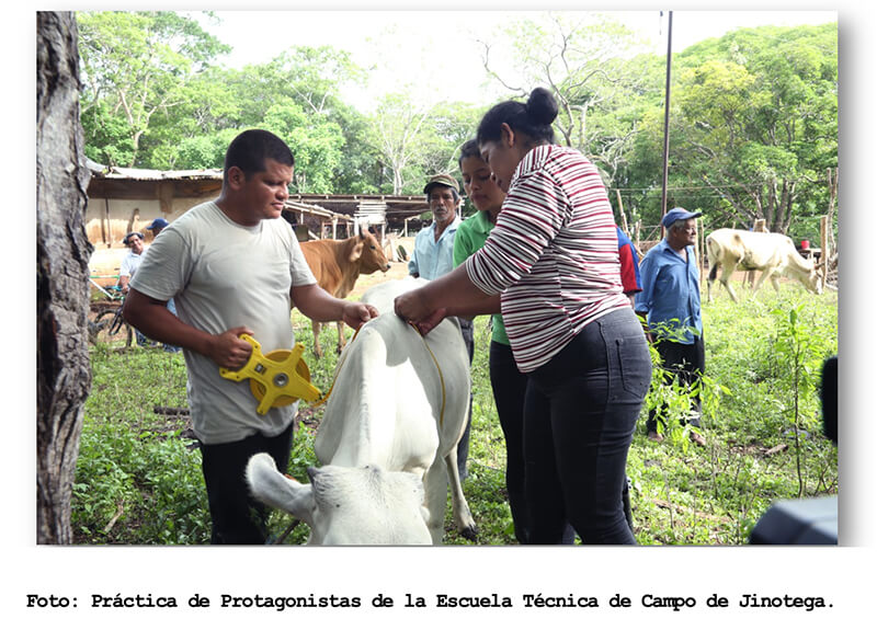 educacion-tecnica-nicaragua